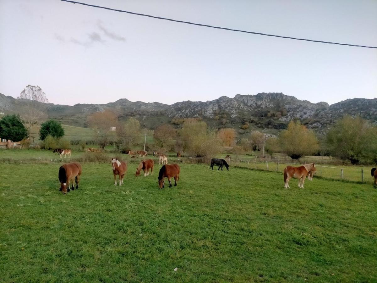 Turismo En Babia Bajo Los Nidos San Emiliano Екстериор снимка
